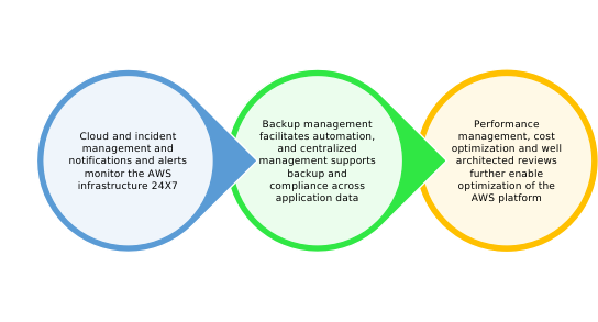 Ensuring AWS Optimization with Managed Services